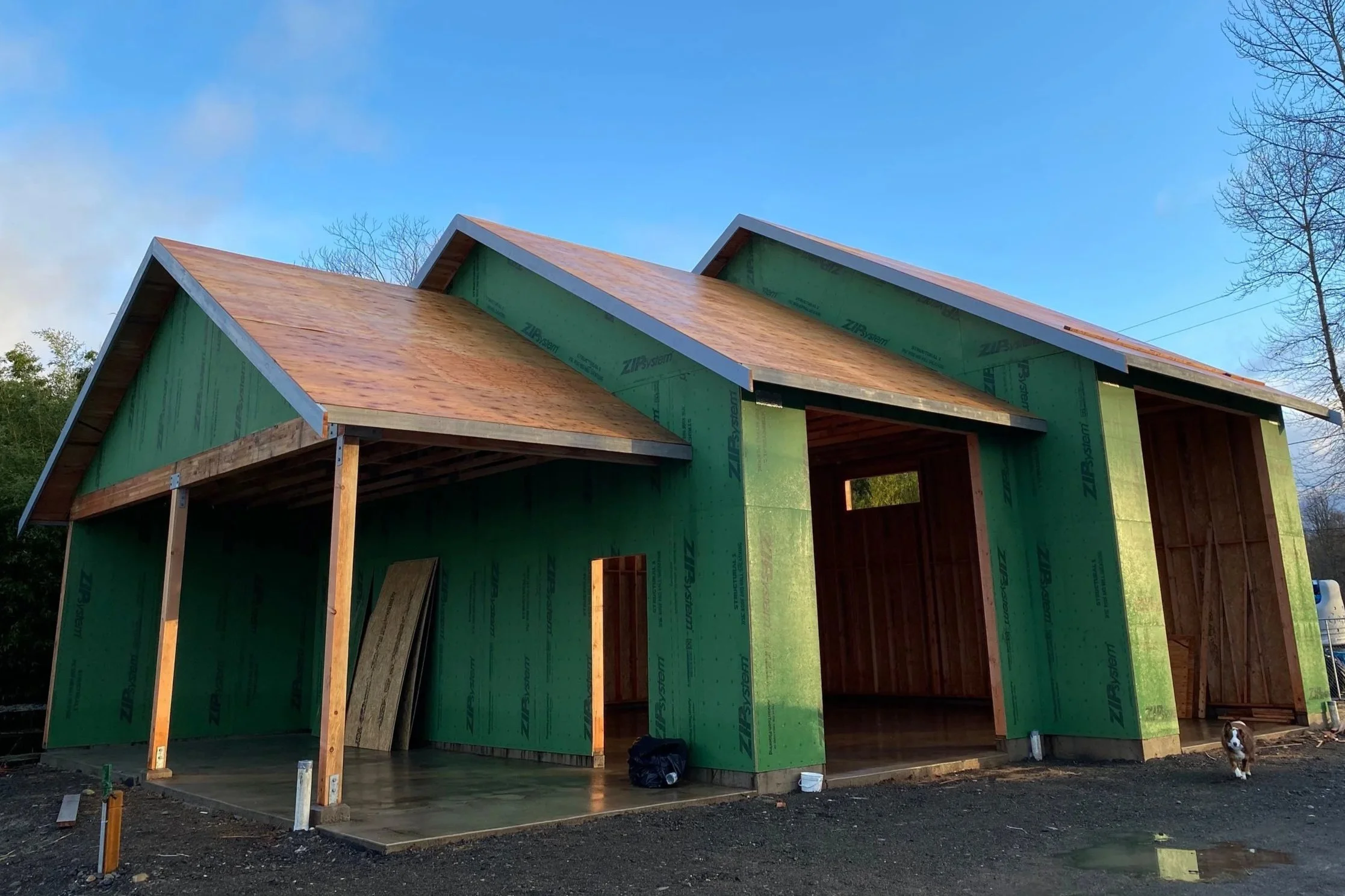 A house under construction with a green exterior and wooden roof structure, surrounded by trees and a clear blue sky.