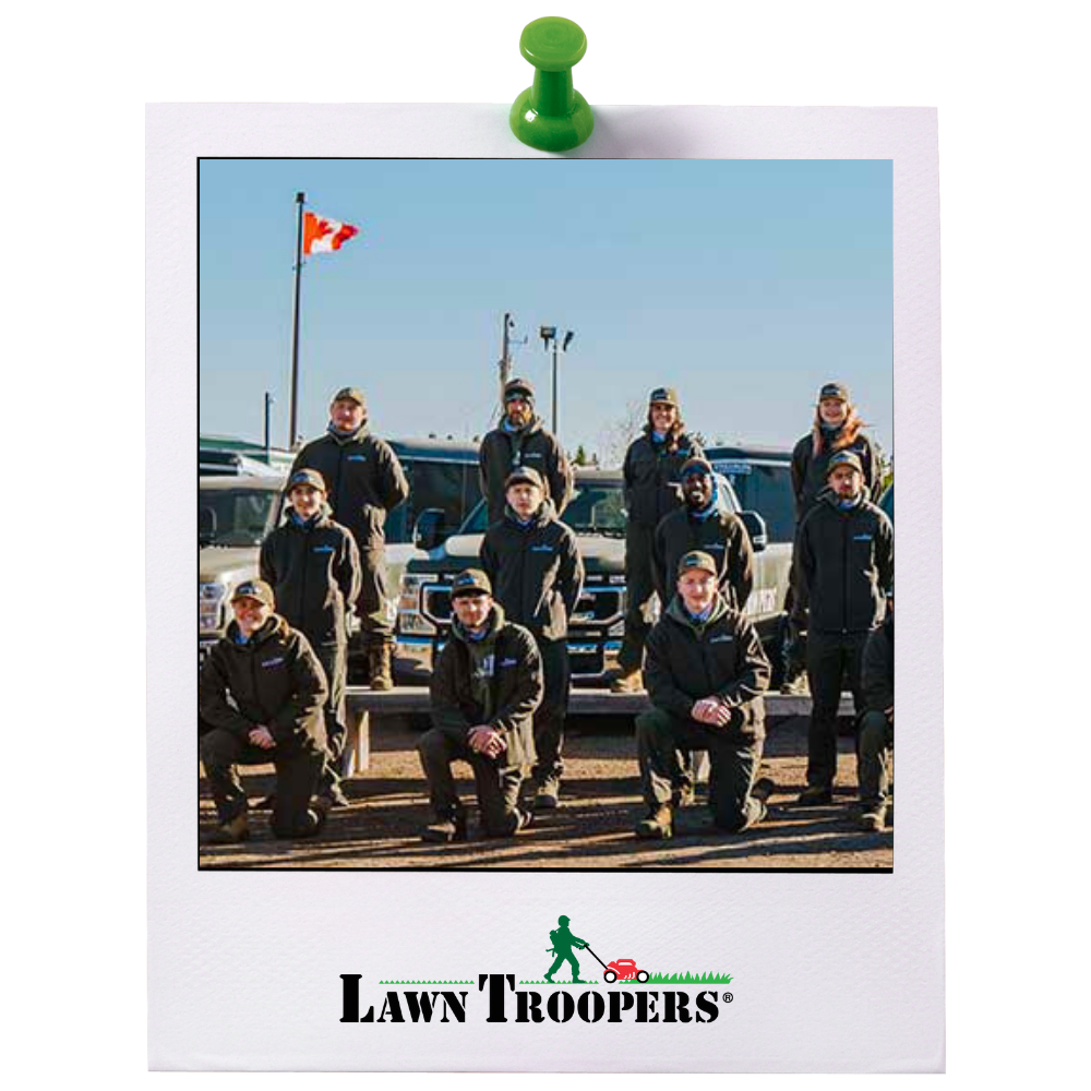 Lawn Troopers