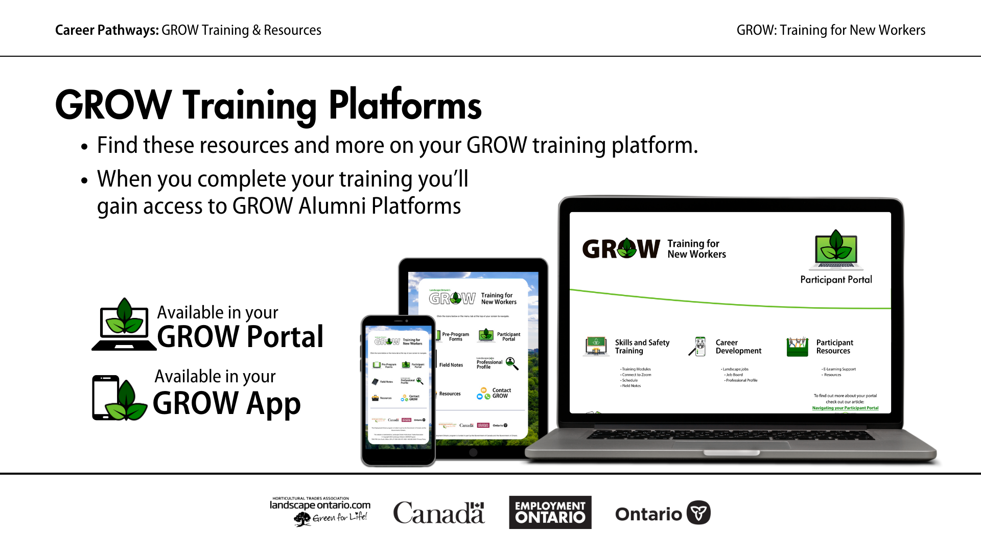 33.png