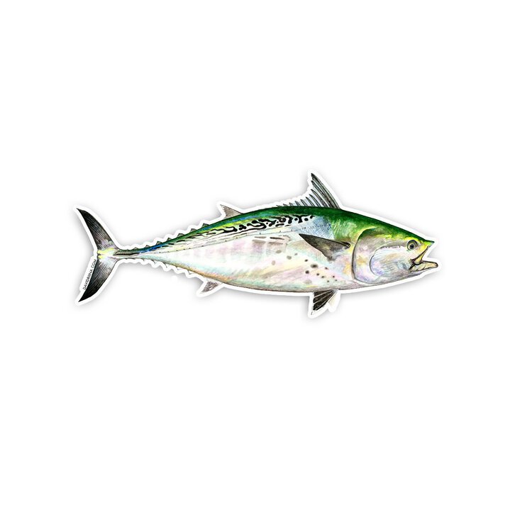 Striper Bass Fishing Decal - Striper Bass Fishing Sticker - 2206