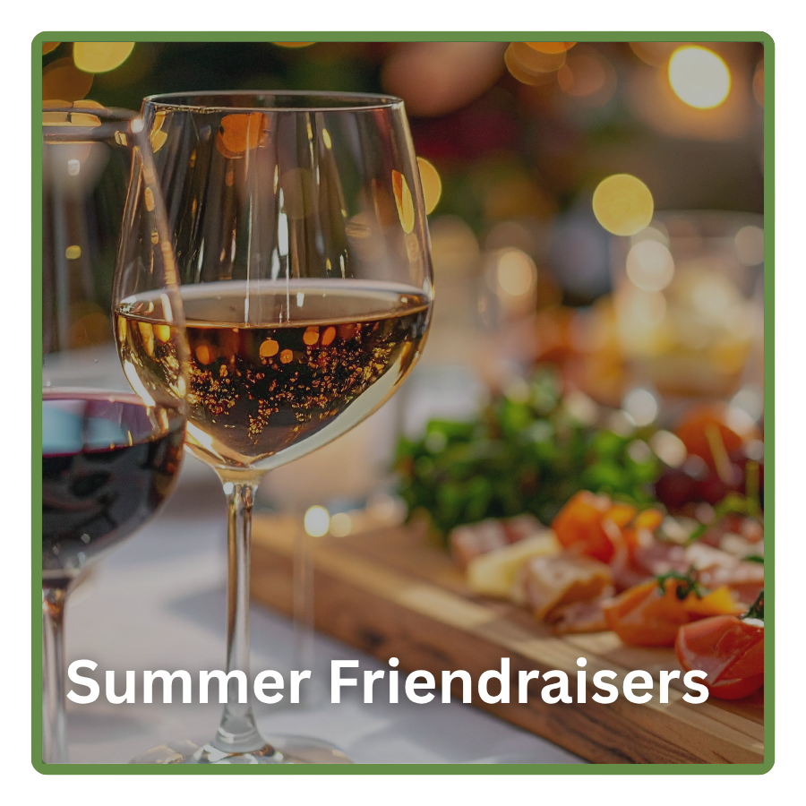 Summer Friendraisers