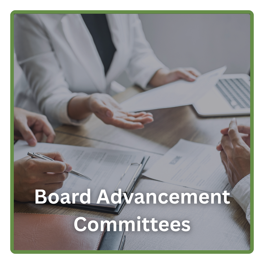 Pull Back the Curtain – On Board Advancement Committees
