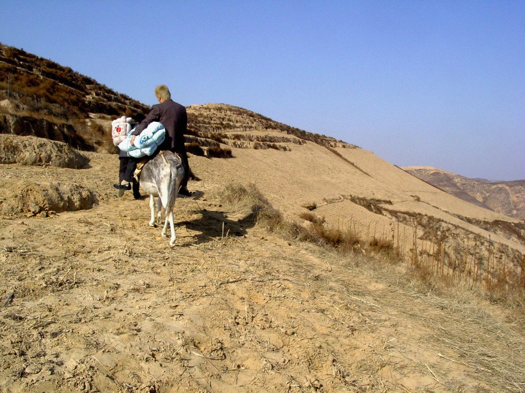  Yang Fudong, The Half Hitching Post (still), 2005, 35mm color film transferred to DVD, sound, 6 minutes 