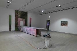 MFA THESIS EXHIBITION | Trapped in Acapulco