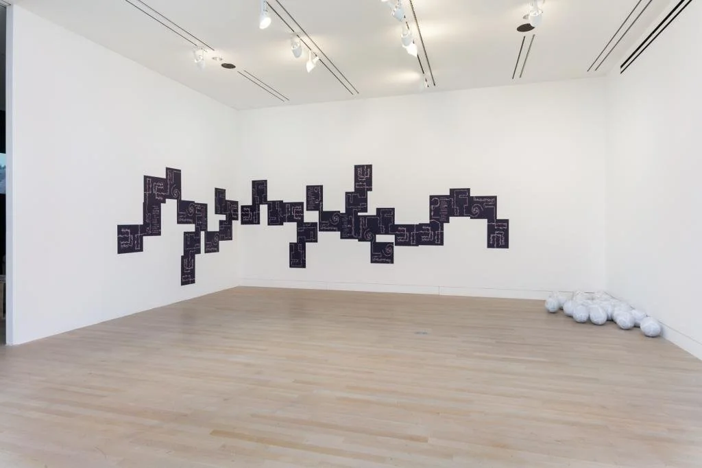  (L-R) Brendan Fernandes, Minor Calls, 2016; Samson Kambalu, Holy Balls, 2000. Photo by RCH | EKH 