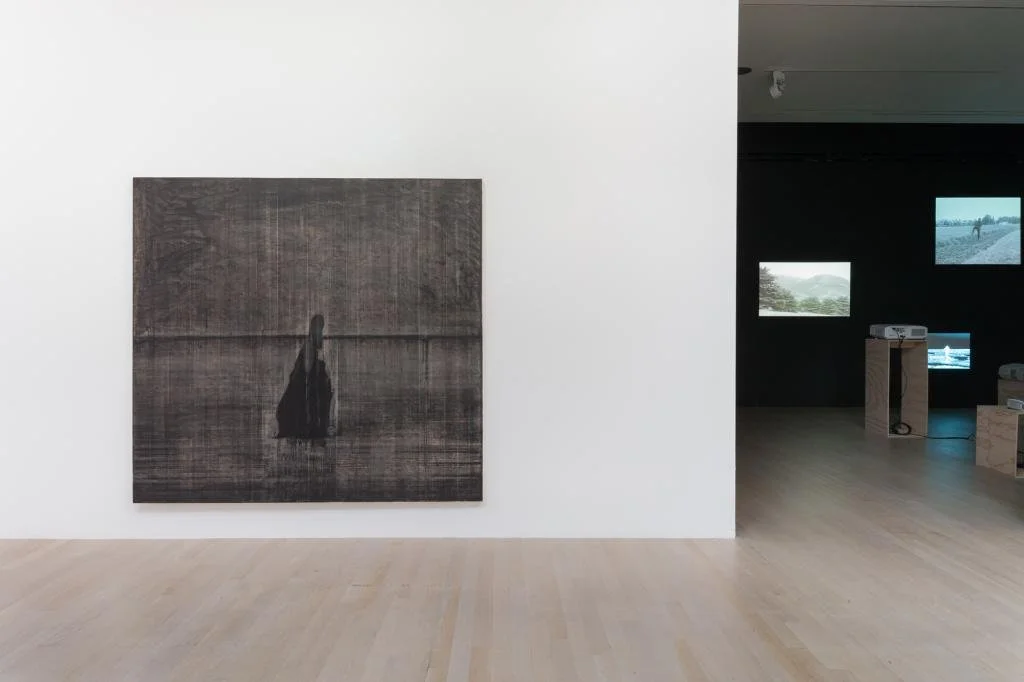  (L-R) Matthew Metzger, Collapse, Movement 2, 2015; Samson Kambalu, Field Work, 2016. Photo by RCH | EKH  