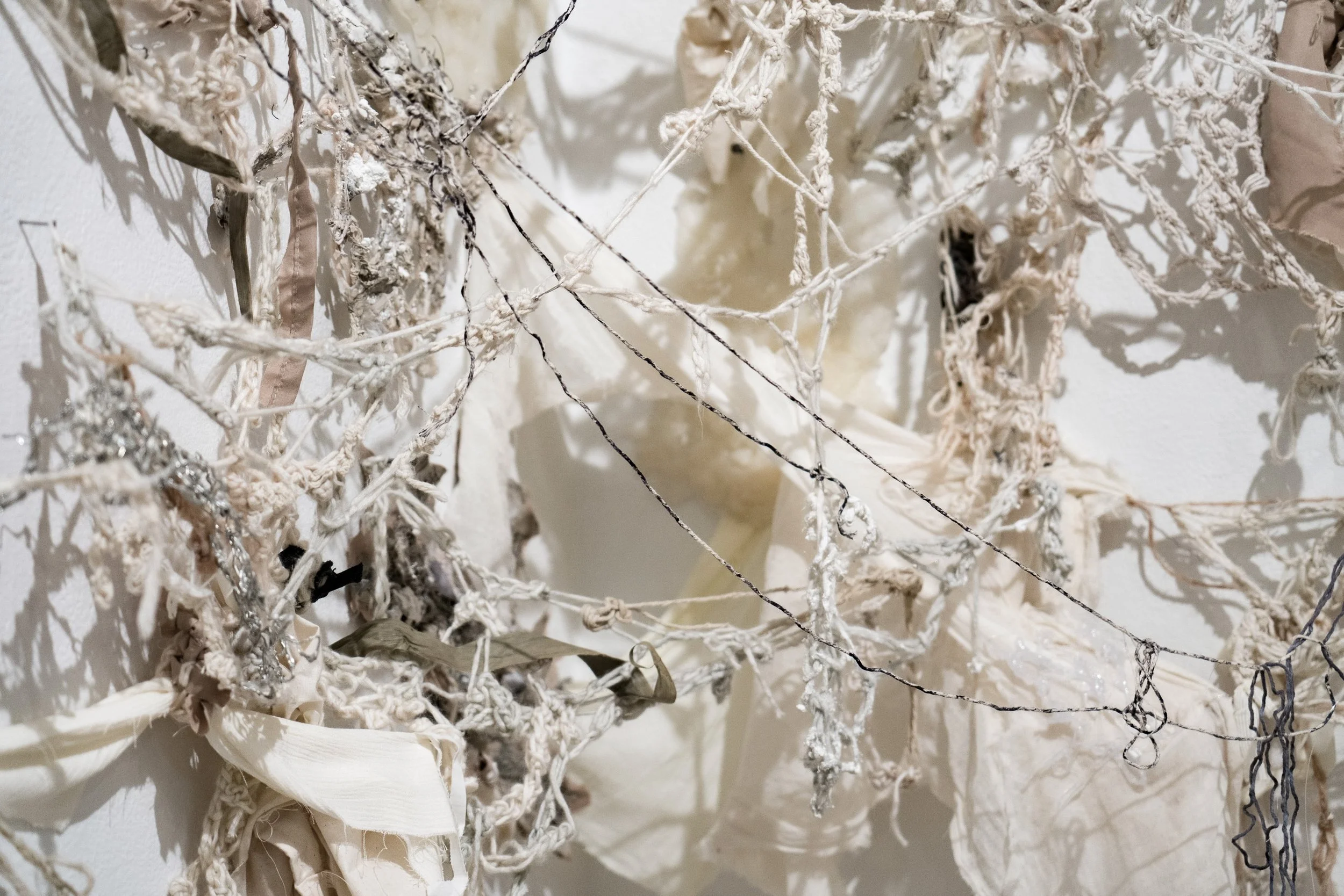 Ying Ruan — Logan Center Exhibitions