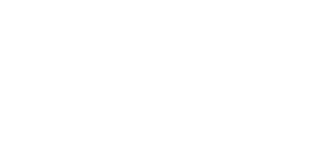 VP Custom Insurance