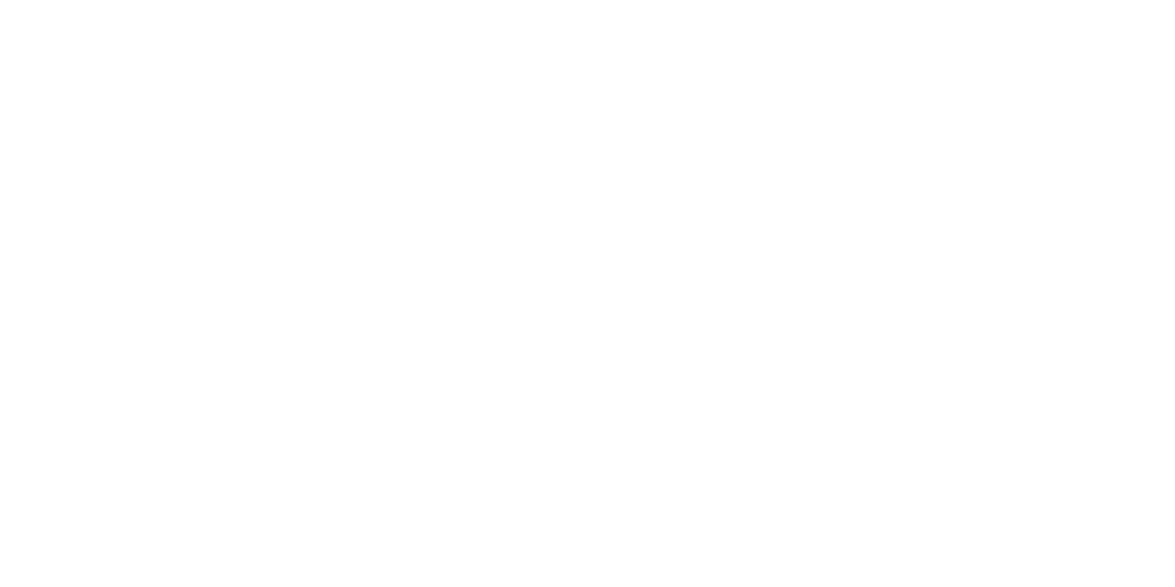VP Custom Insurance