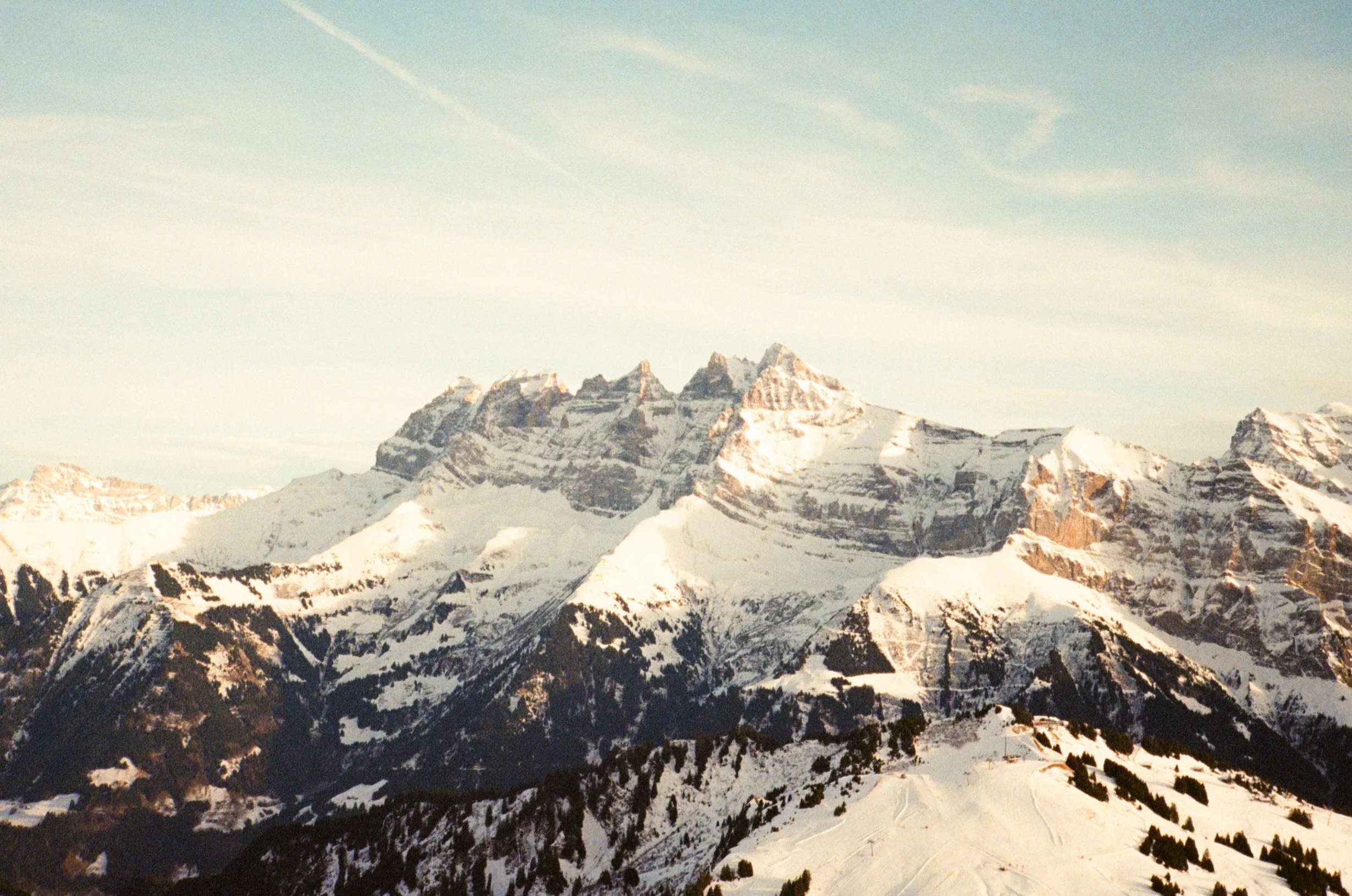 961454950012.jpg