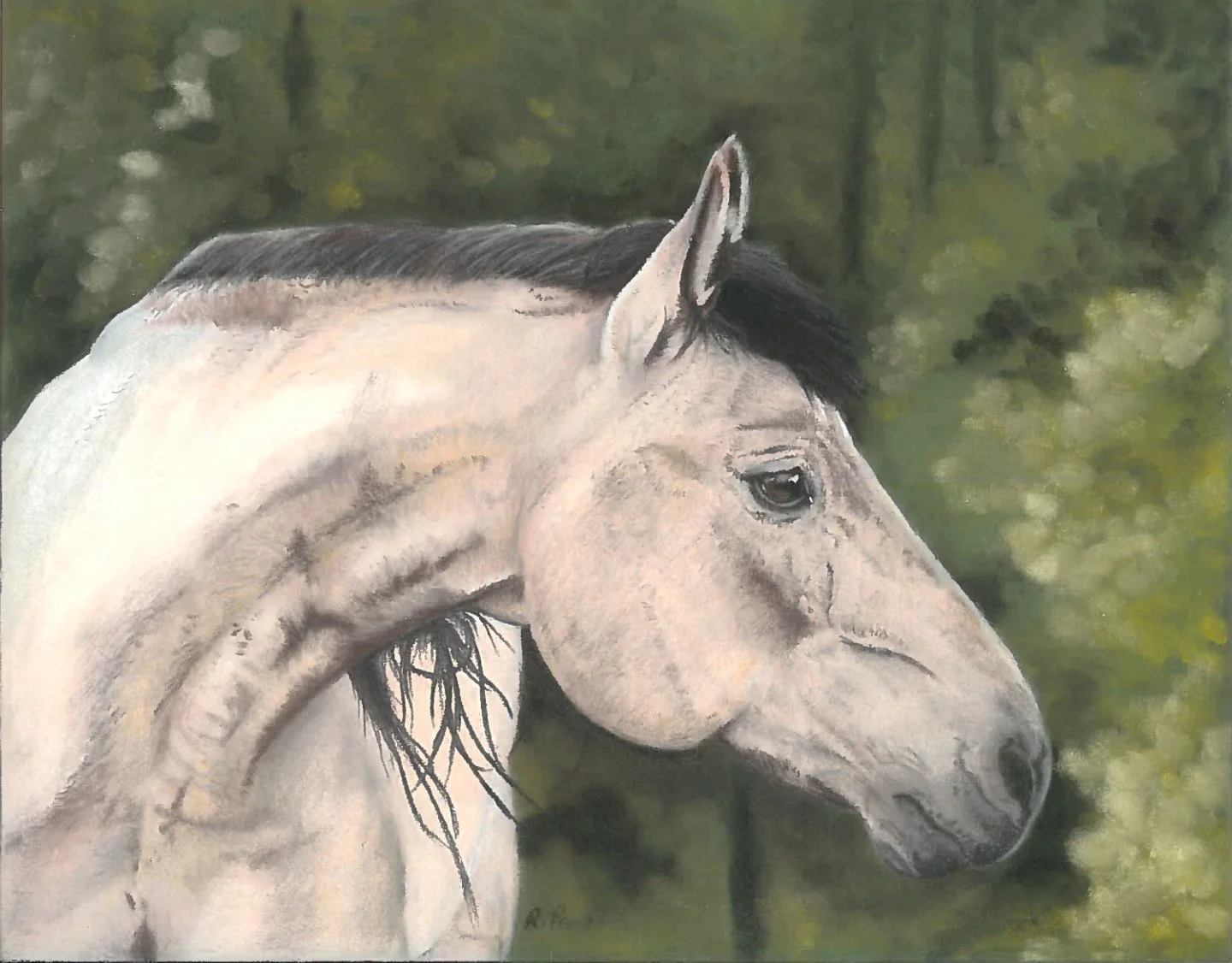 Boggies Flashy Jac, Retirement.jpg