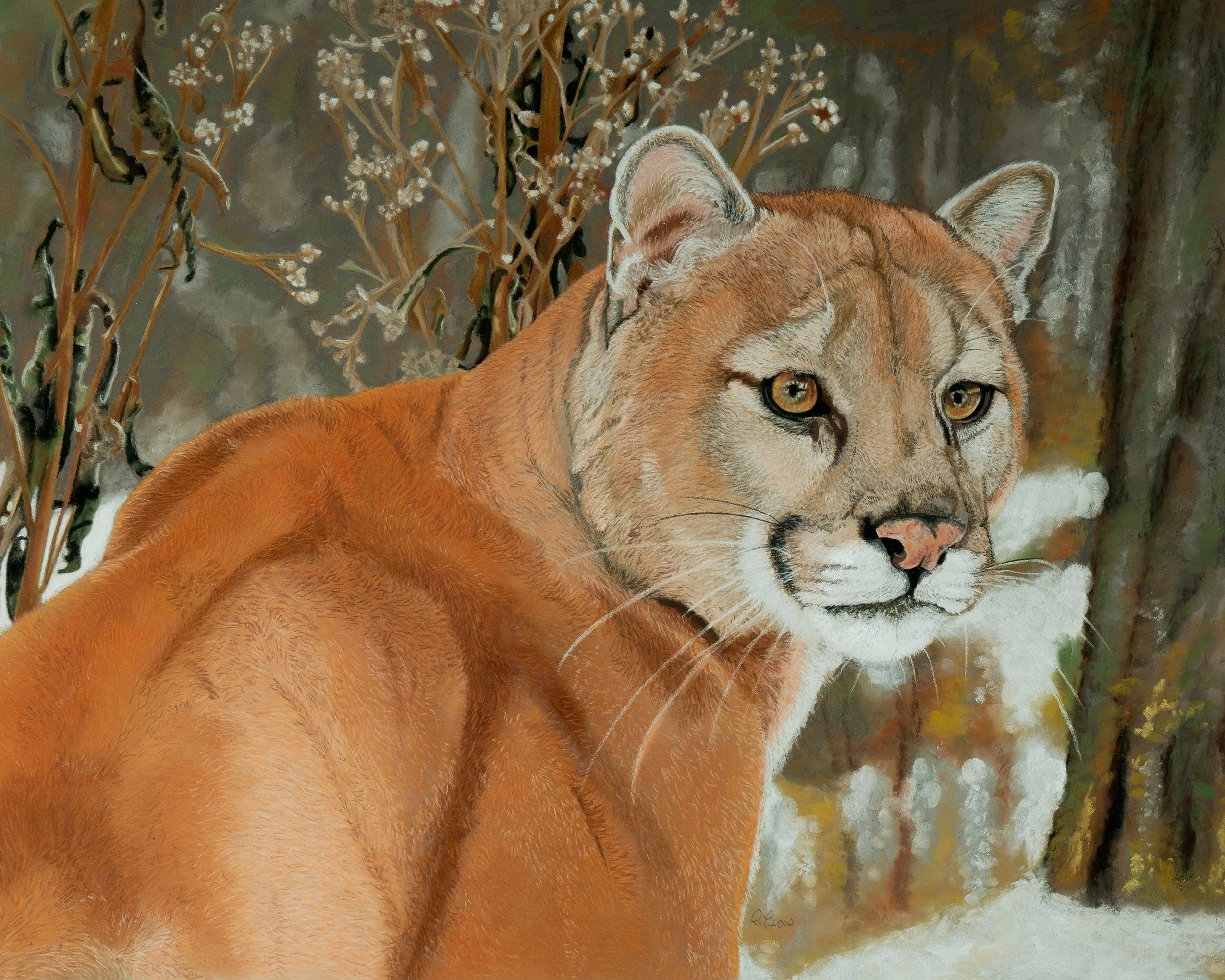 American Royalty Web.jpg