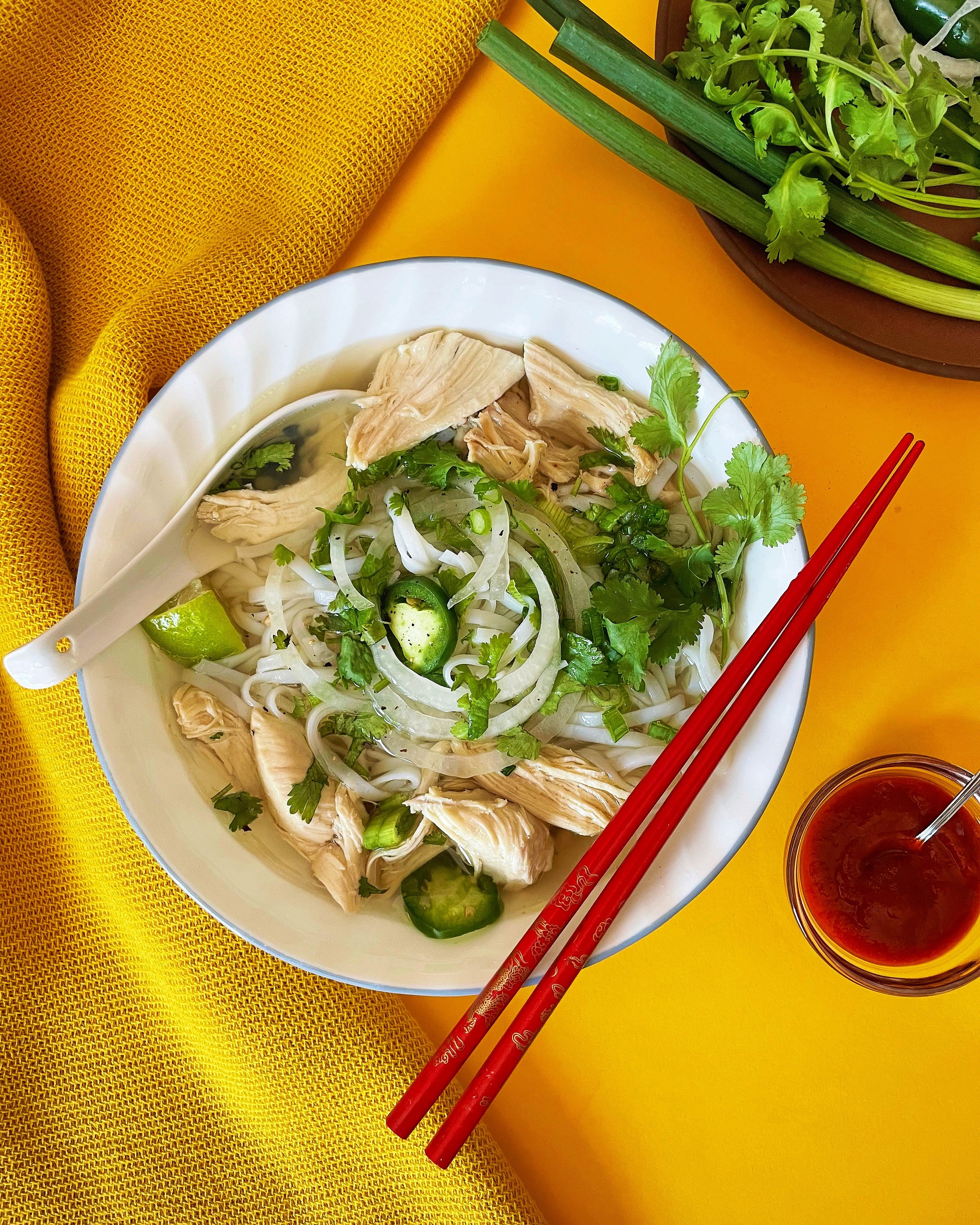 Vietnamese Chicken Pho- “Pho Ga” Restaurant Style Recipe — WHISKEY & BOOCH