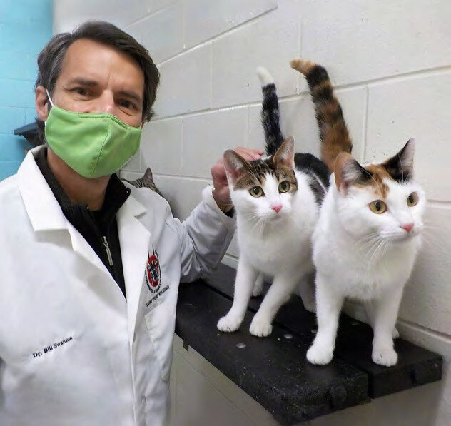 Dr. Bill Swanson, director of the small cats program at the Cincinnati Zoo’s Center for Conservation and Research of Endangered Wildlife, with two of his study cats.