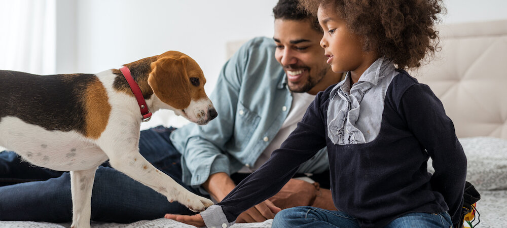  - “Our message to housing providers is that they can do good and capture an economic opportunity by easing restrictions on pets in rental housing communities.” - Steven Feldman, HABRI president