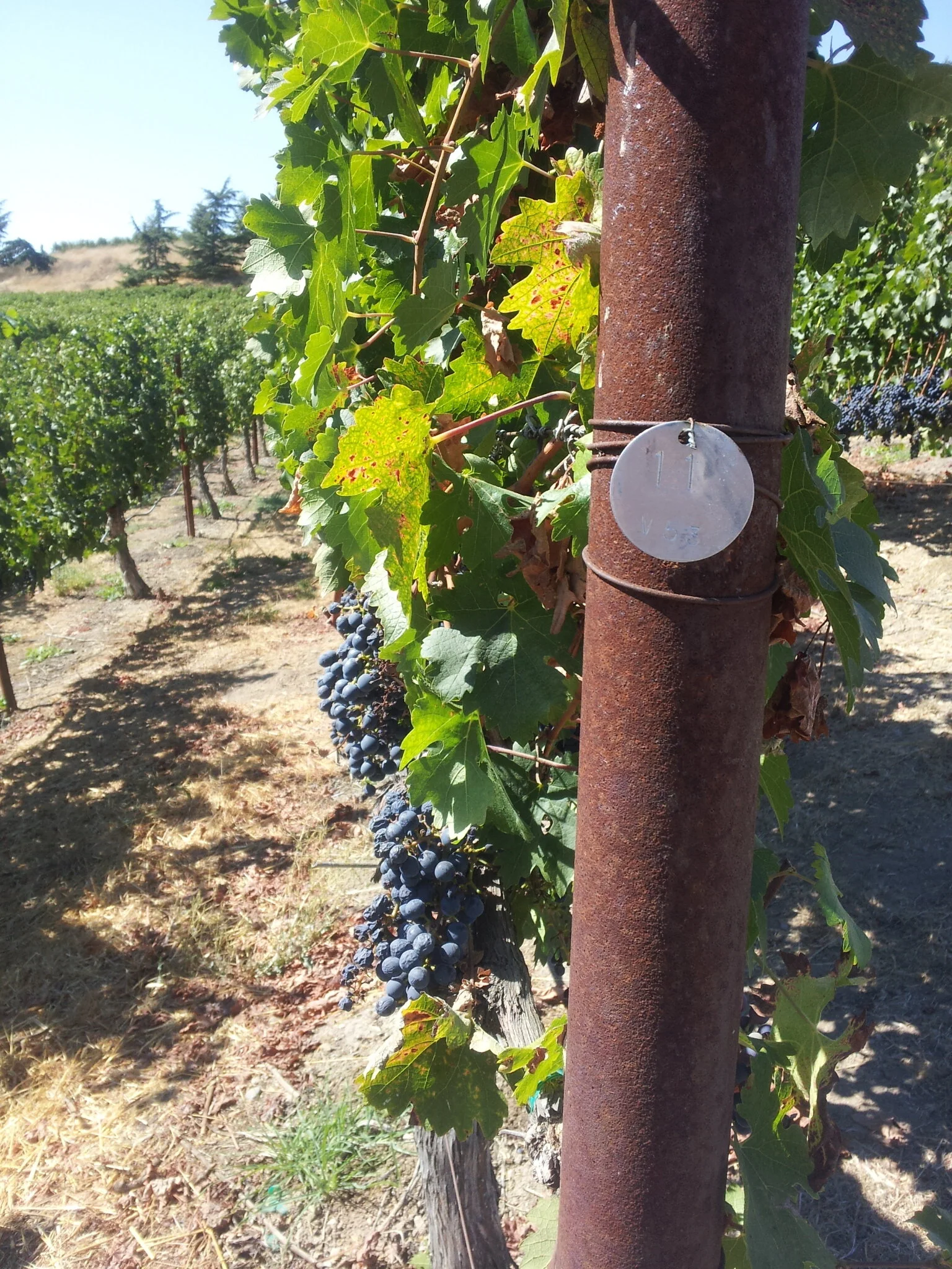 2012-09-30 12.16.19.jpg