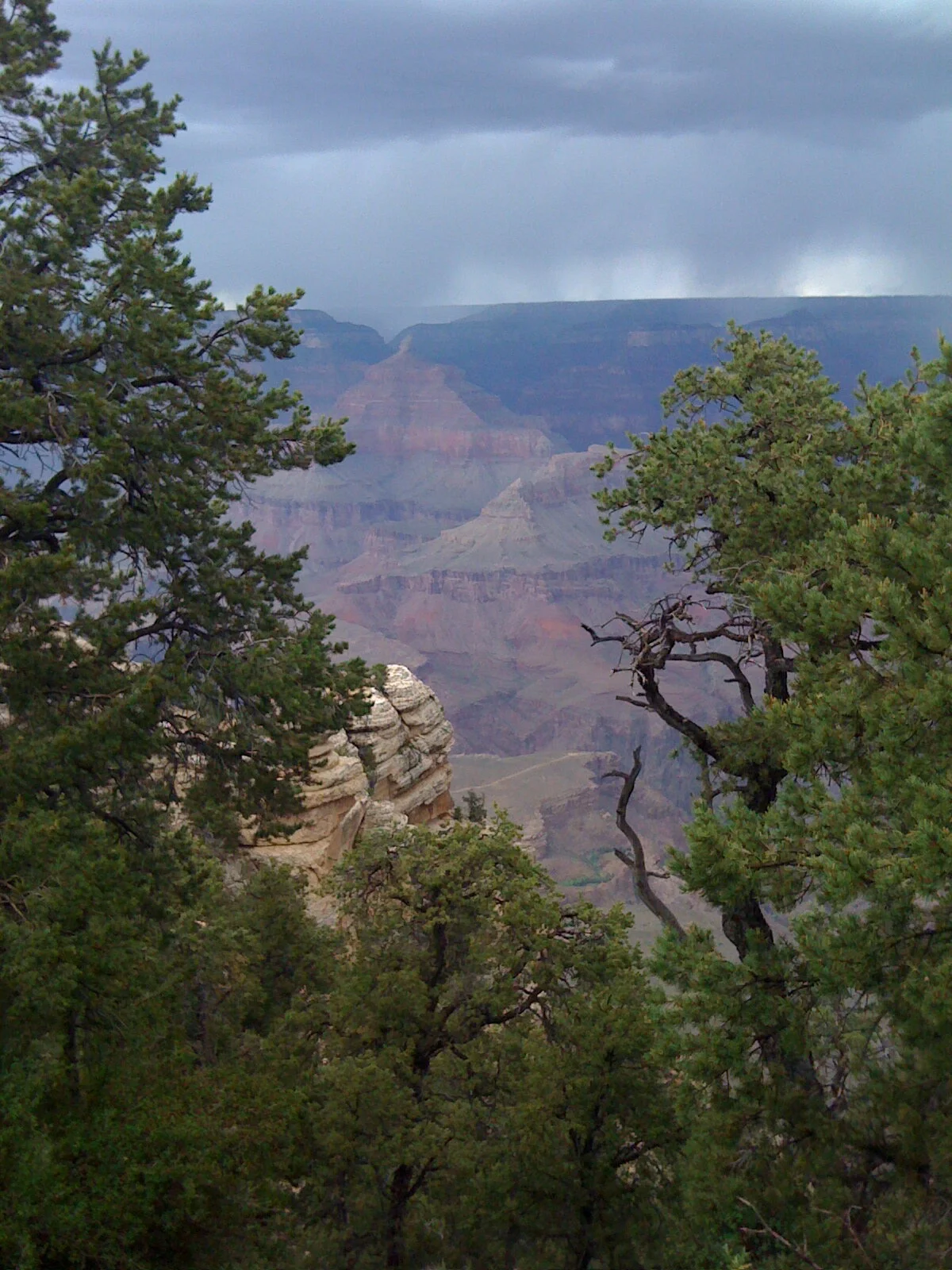 IMG_1405 2.jpg