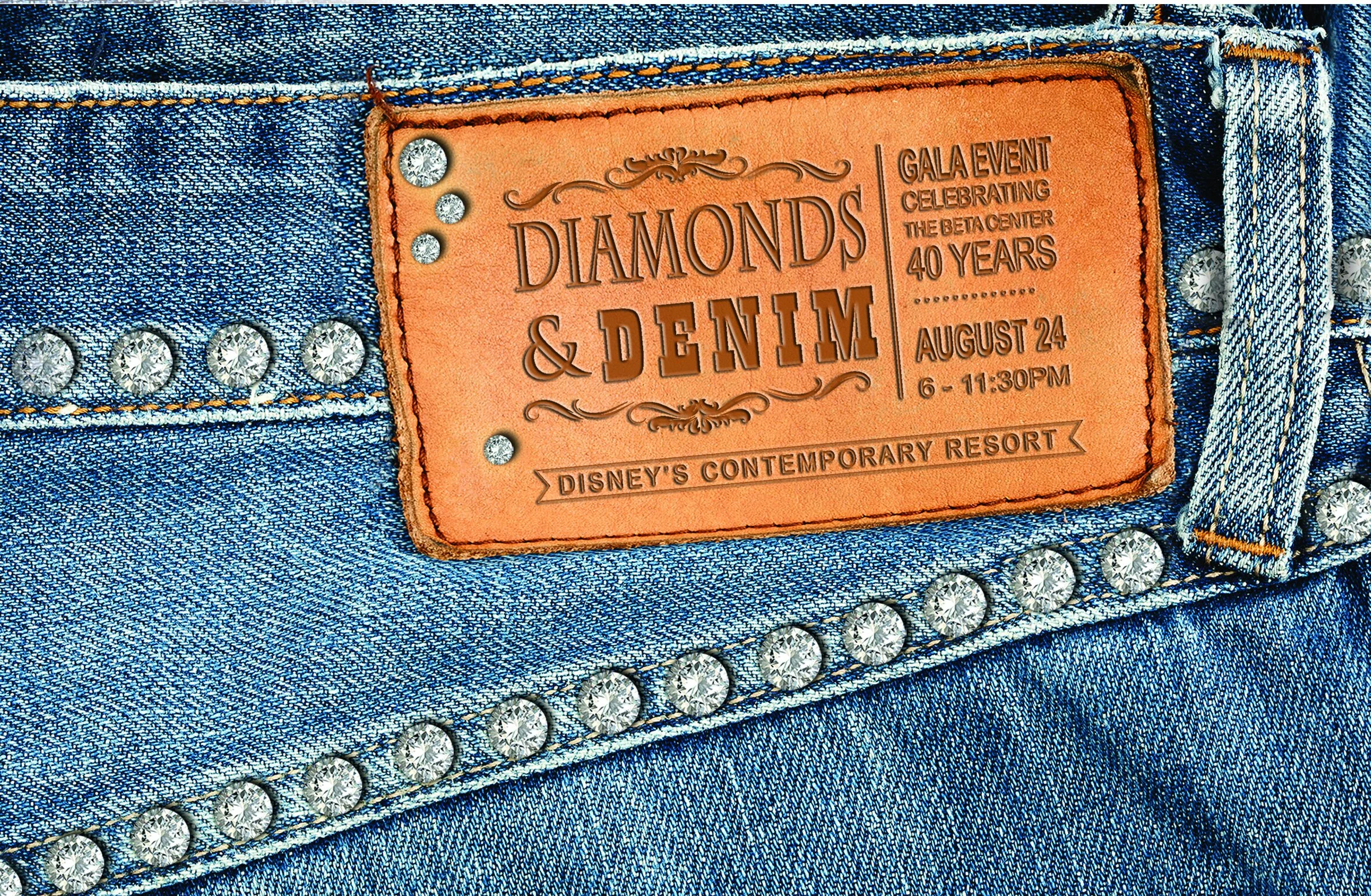 DD2013_Cover.jpg