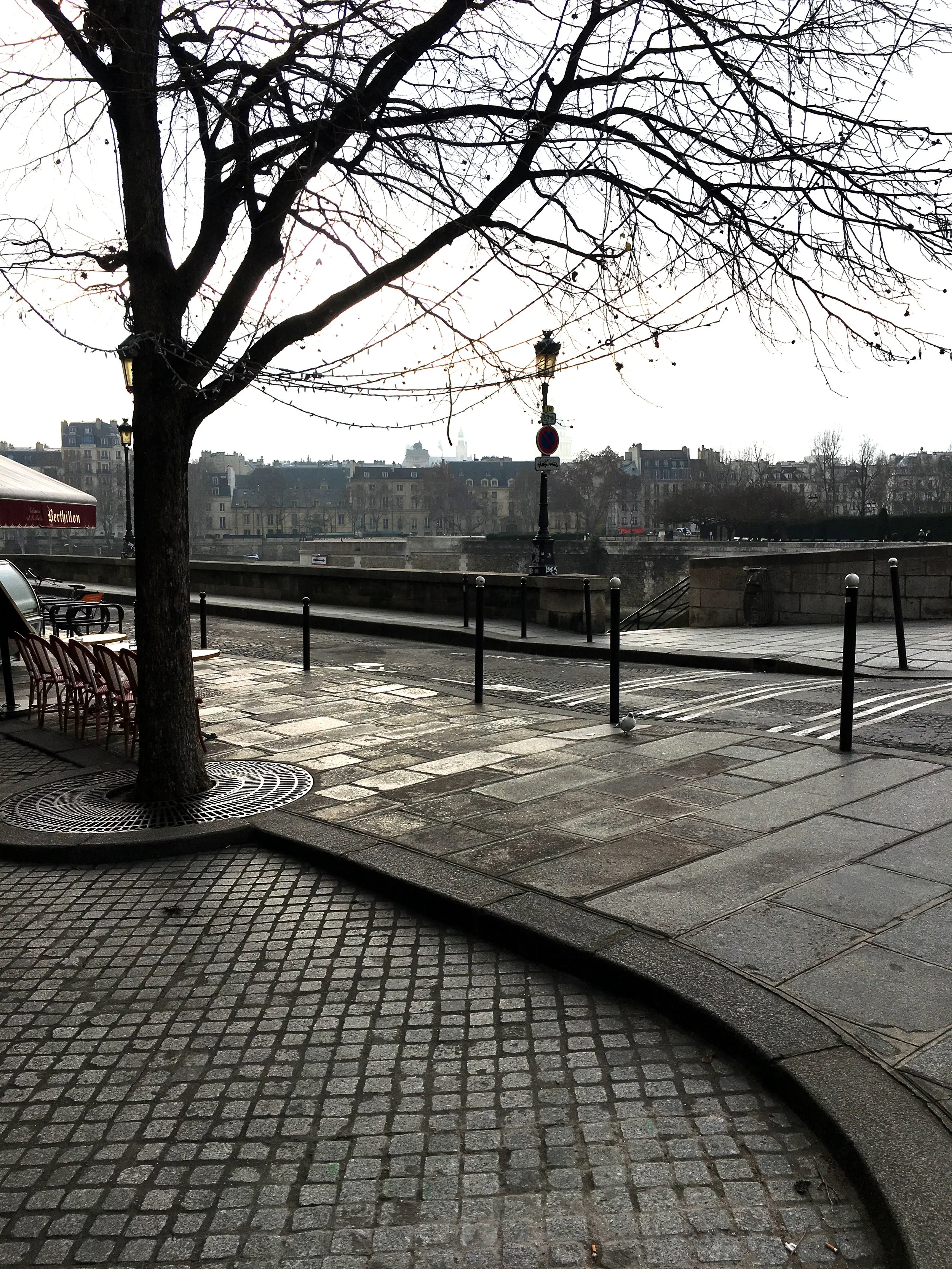 2018-12-28_07-59-25_872 copy.jpg