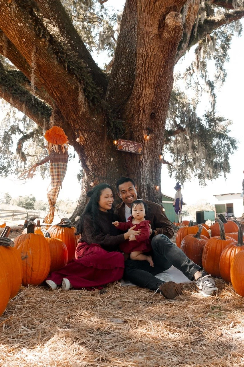 pumpkinpatch-7 Large.jpeg