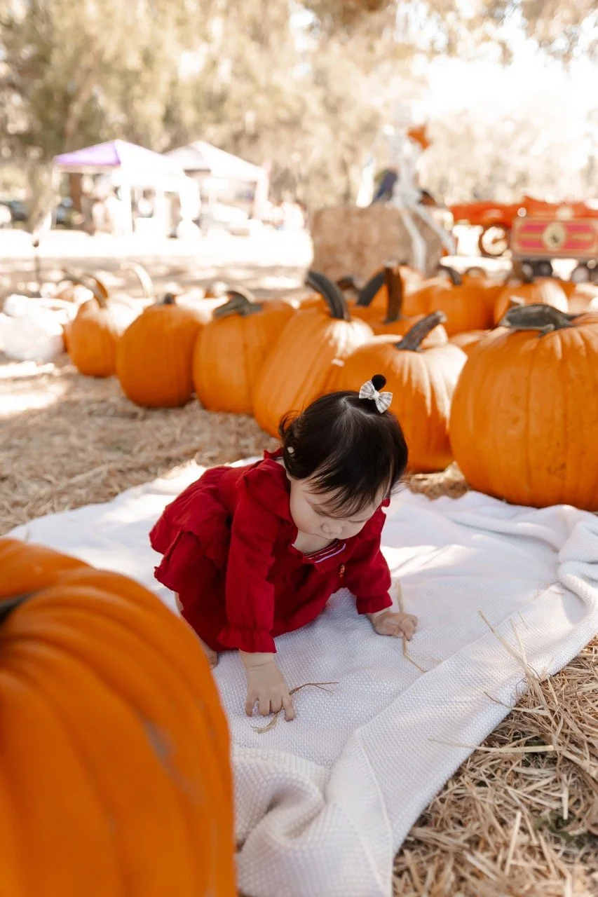 pumpkinpatch-21 Large.jpeg