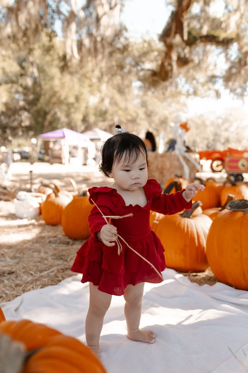 pumpkinpatch-23 Large.jpeg