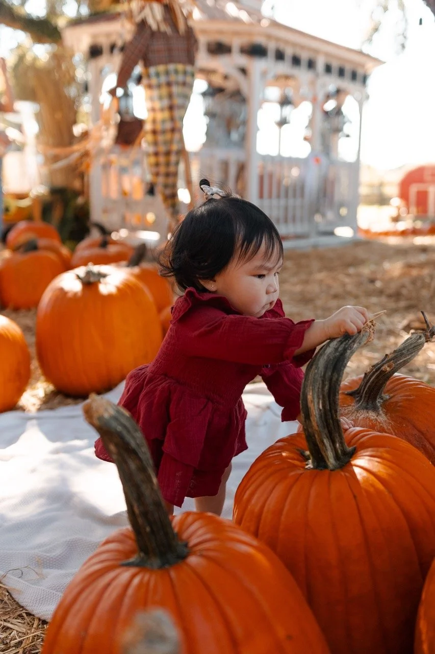pumpkinpatch-50 Large.jpeg