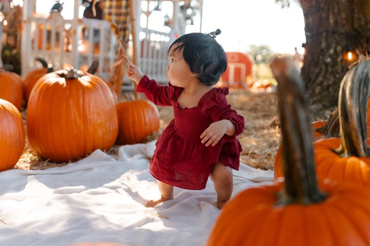 pumpkinpatch-47 Large.jpeg
