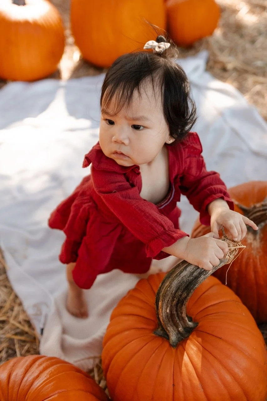 pumpkinpatch-52 Large.jpeg