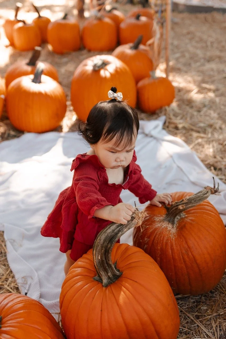 pumpkinpatch-55 Large.jpeg