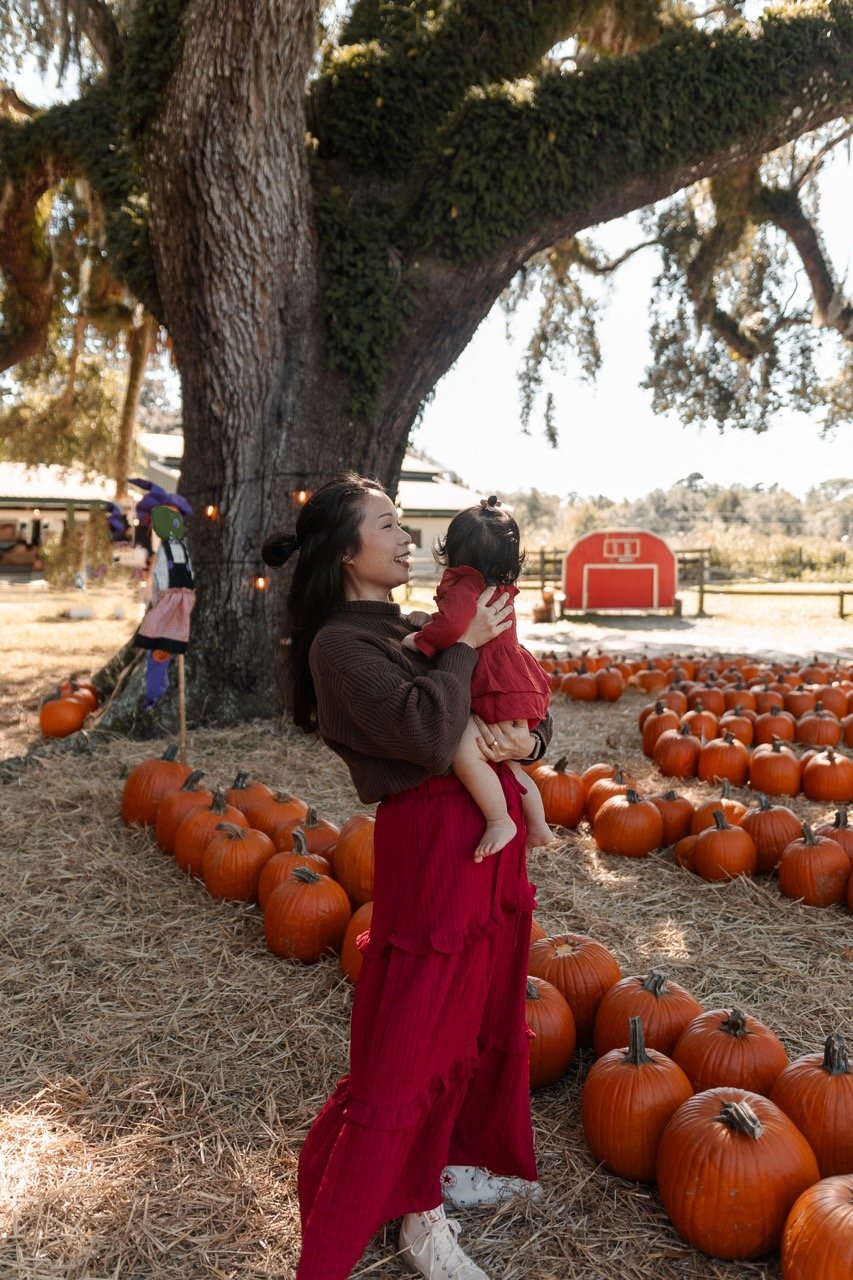 pumpkinpatch-140 Large.jpeg