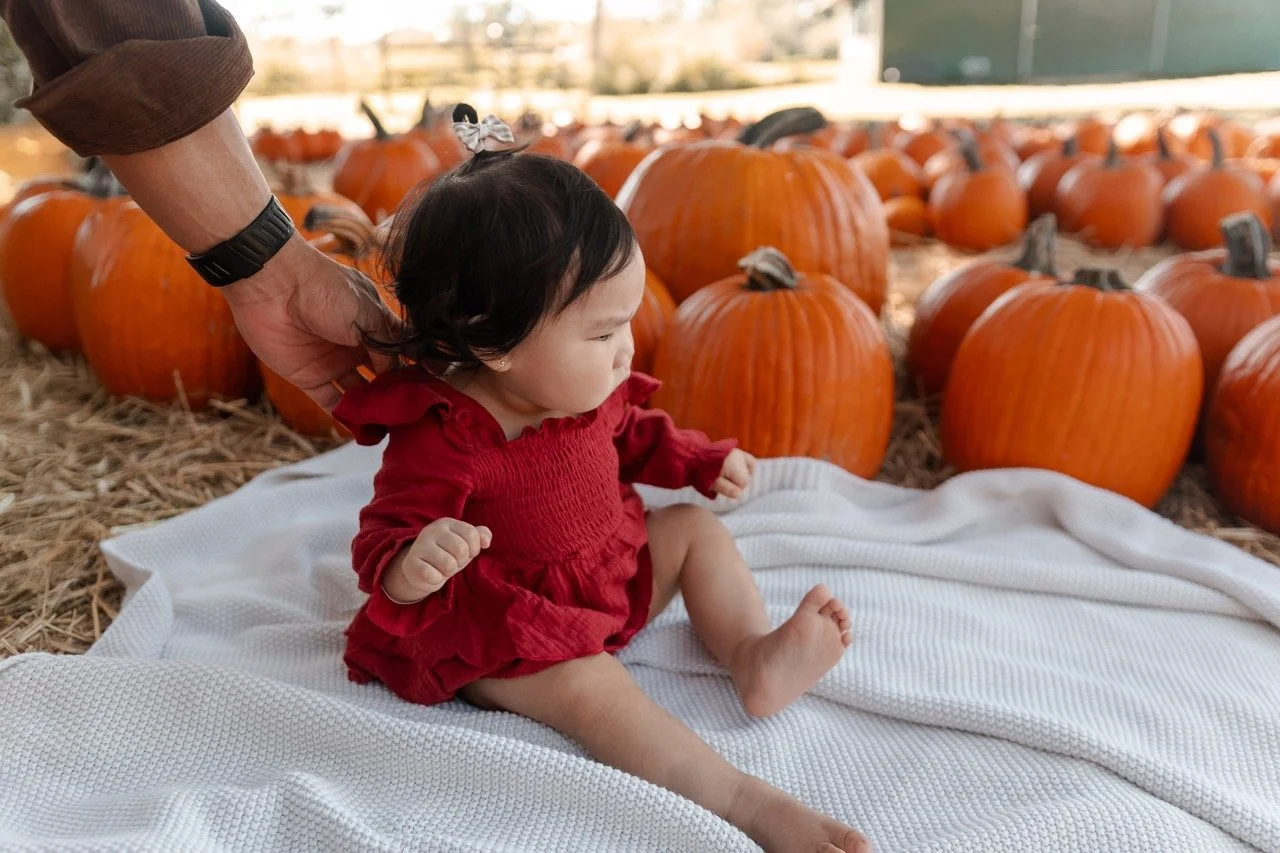pumpkinpatch-190 Large.jpeg