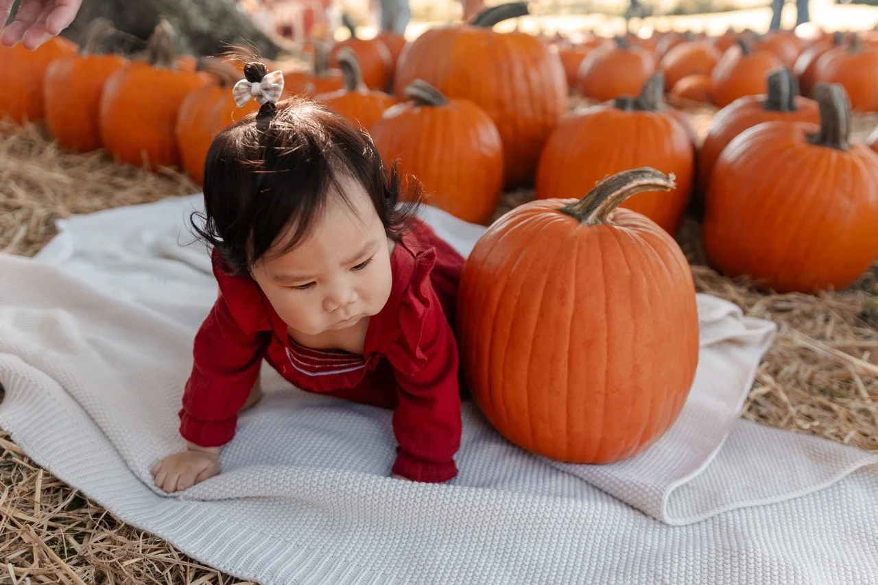 pumpkinpatch-192 Large.jpeg