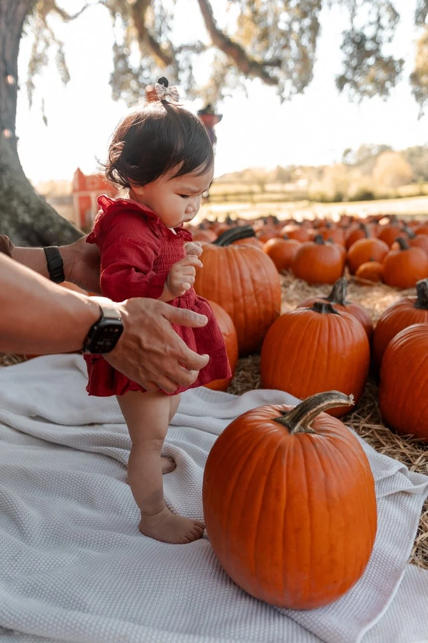 pumpkinpatch-194 Large.jpeg