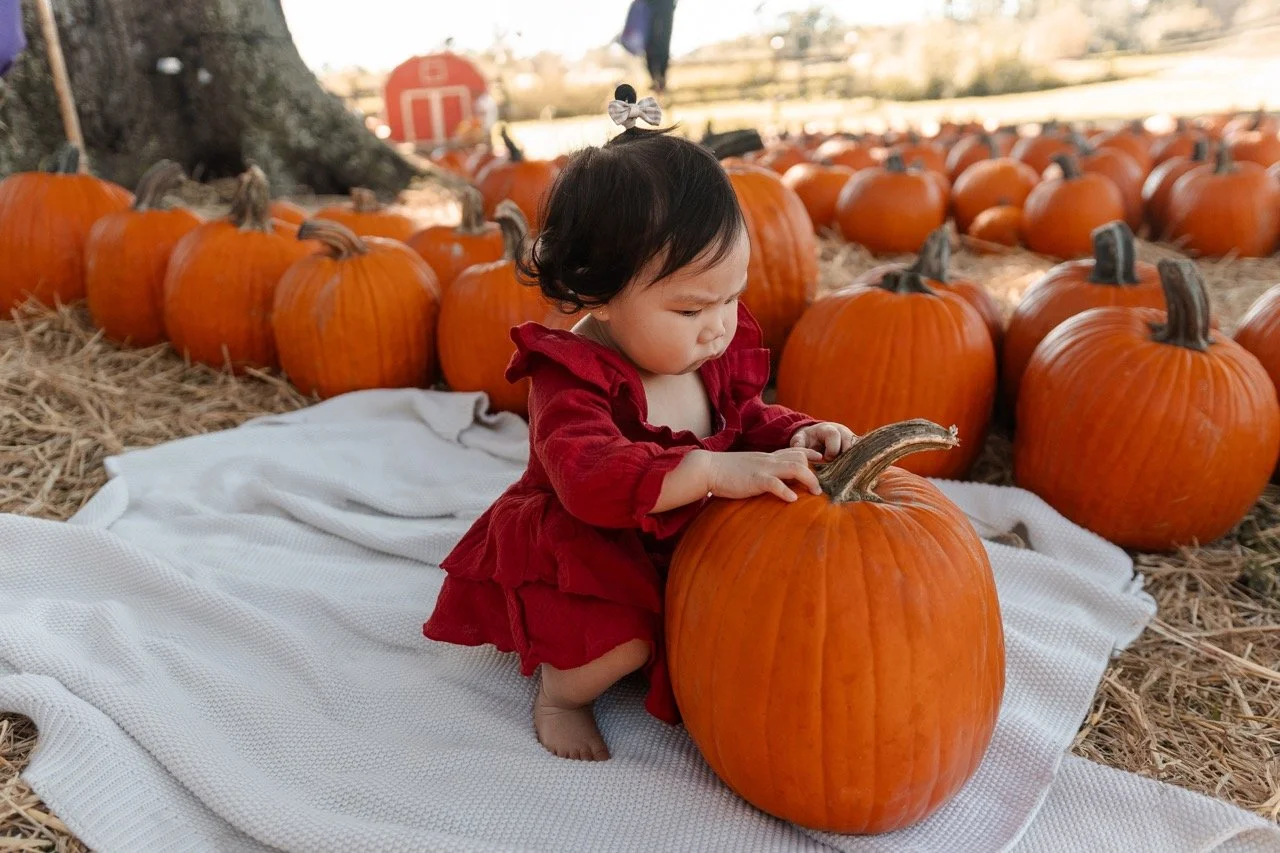 pumpkinpatch-202 Large.jpeg