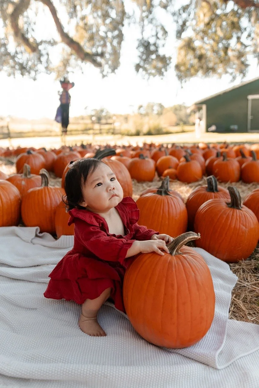 pumpkinpatch-205 Large.jpeg