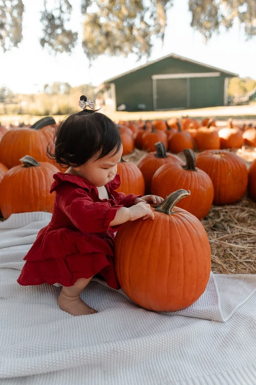 pumpkinpatch-206 Large.jpeg