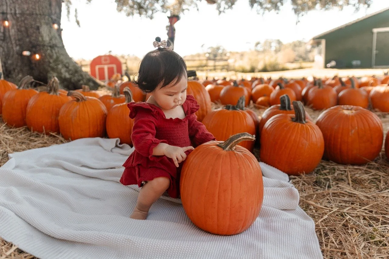 pumpkinpatch-222 Large.jpeg