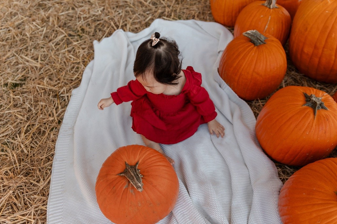 pumpkinpatch-229 Large.jpeg