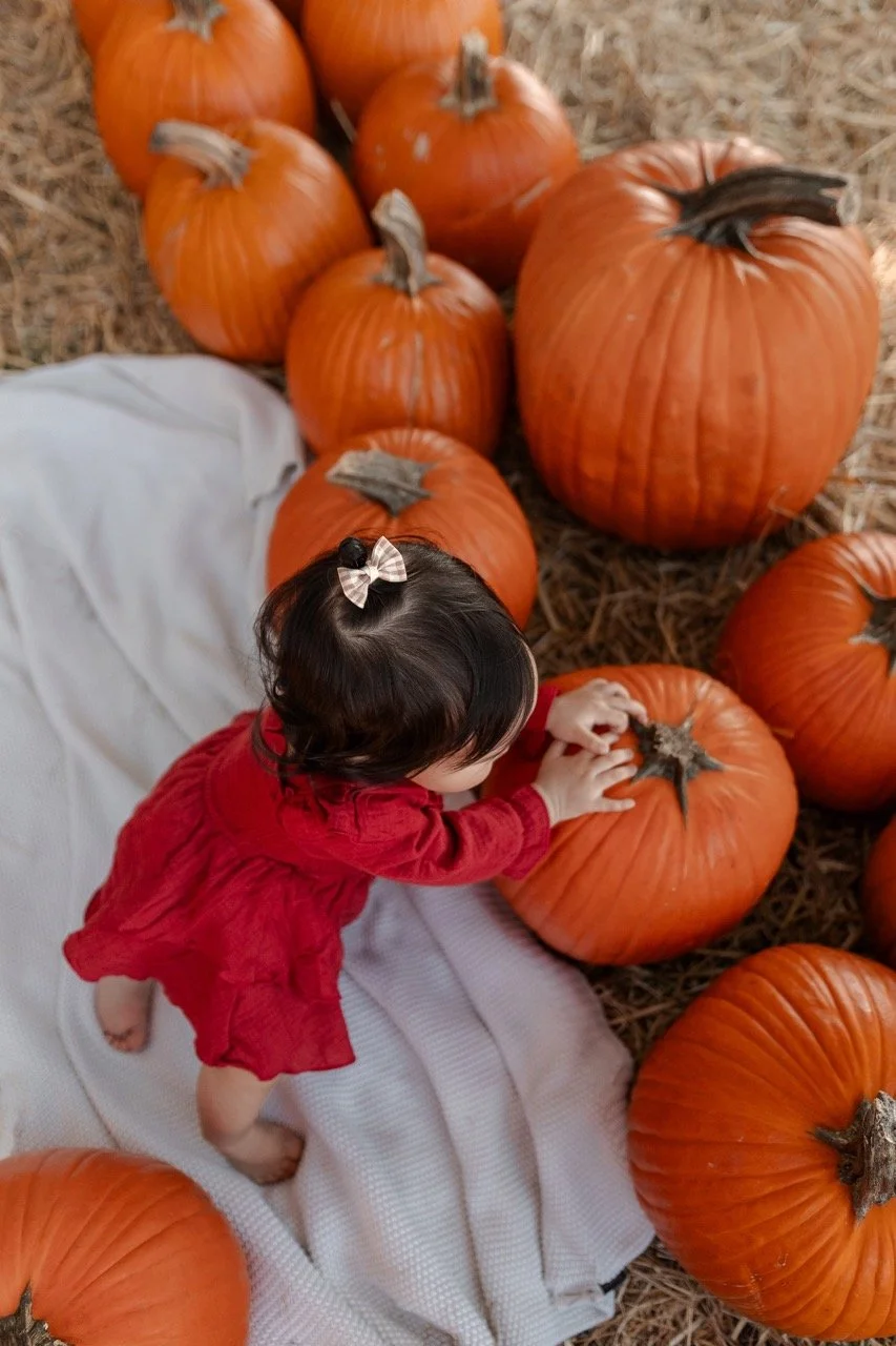 pumpkinpatch-232 Large.jpeg