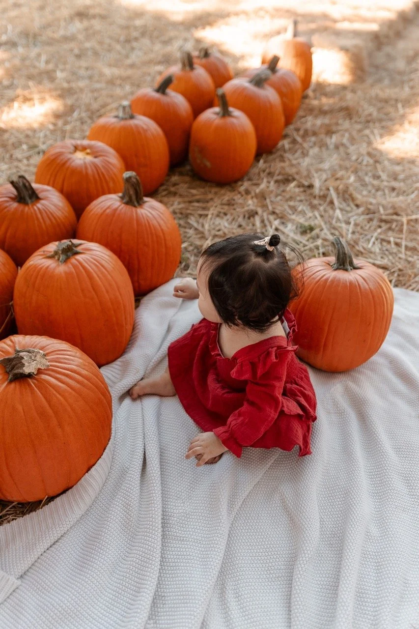 pumpkinpatch-236 Large.jpeg