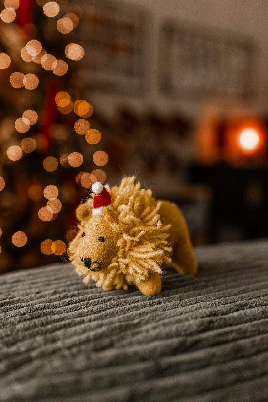 christmas-6 Large.jpeg
