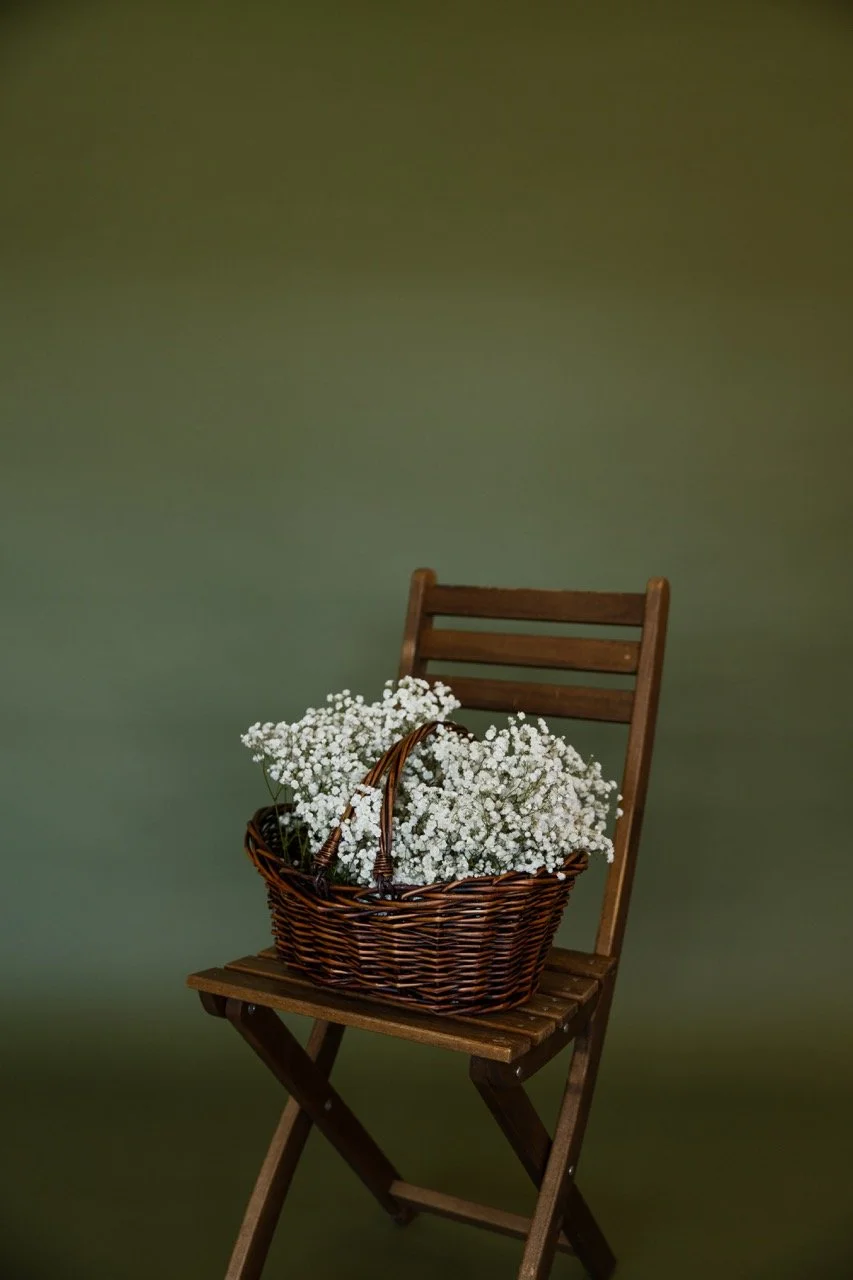 rebekah-bronson-1 Large.jpeg