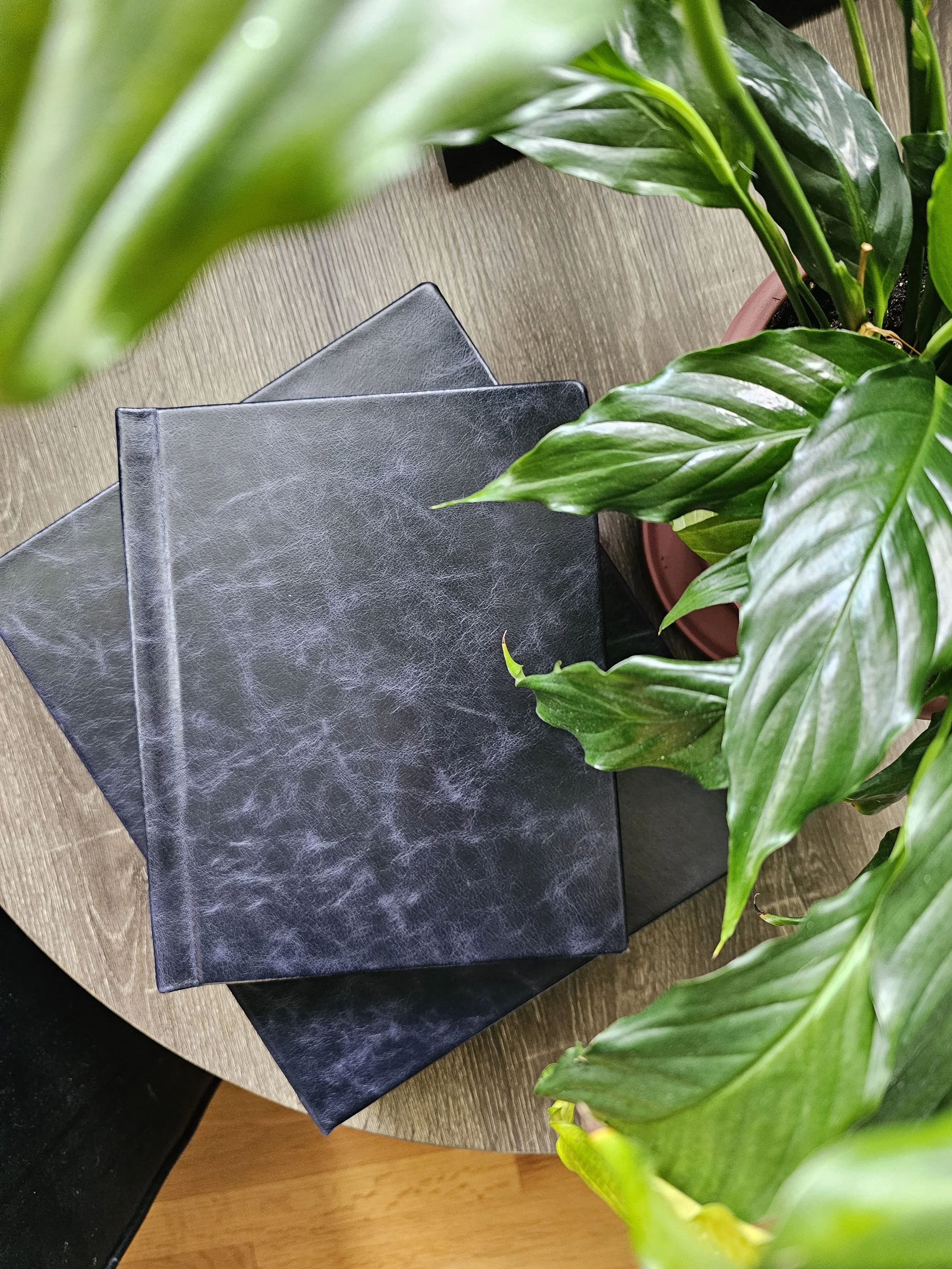 Winnipeg Empowerment Boudoir Photographer