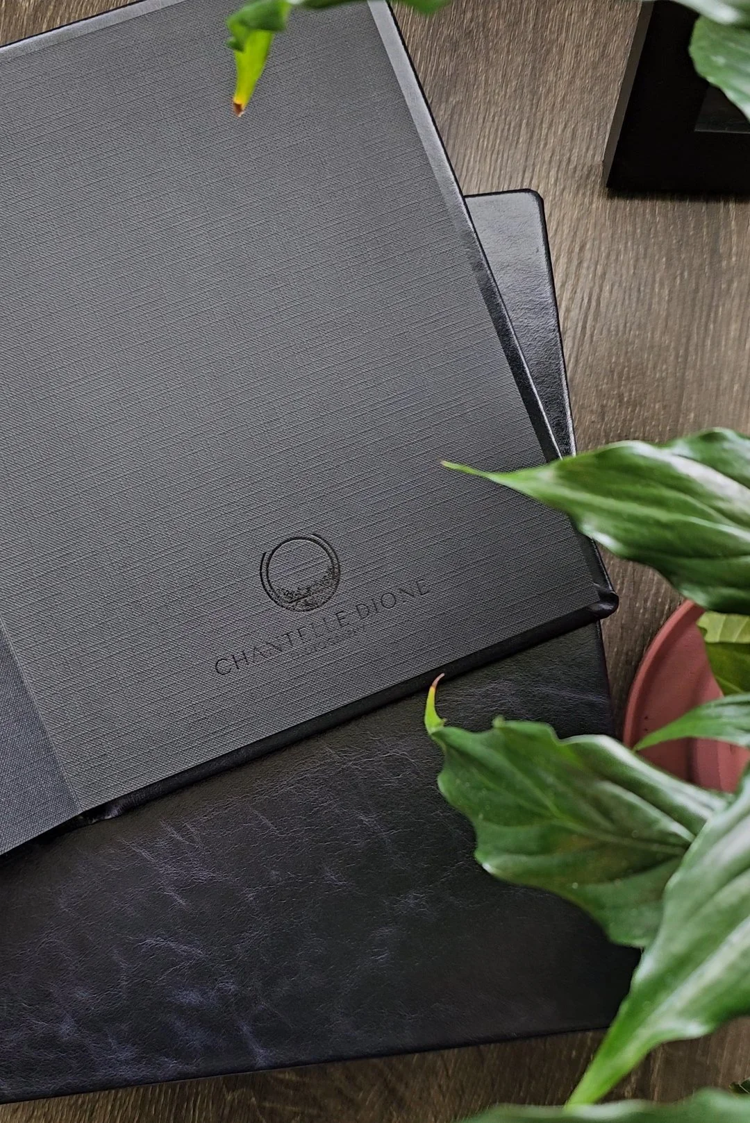 Winnipeg Empowerment Boudoir Photographer