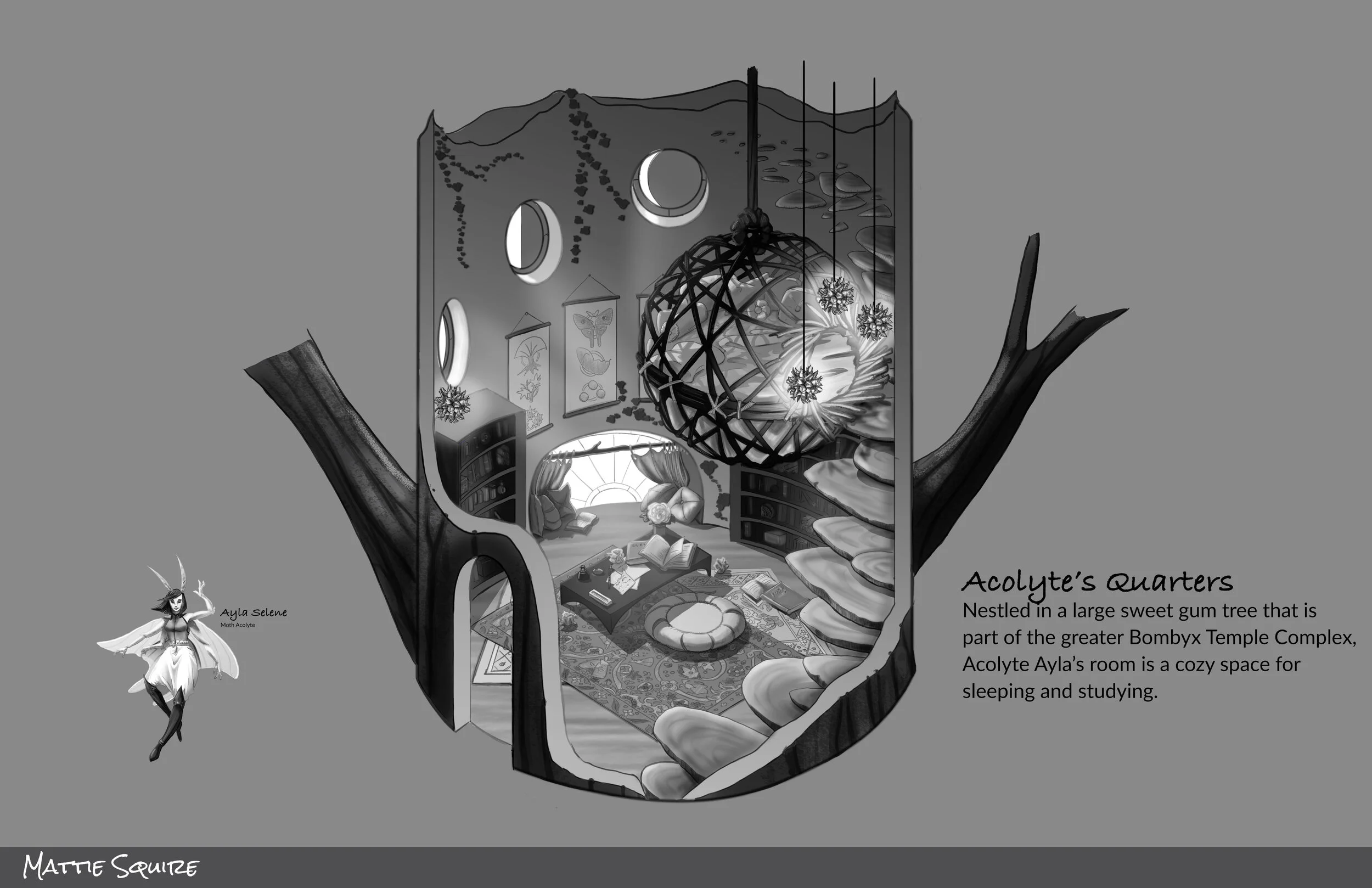 Squire_Moth Quarters_Final.jpg