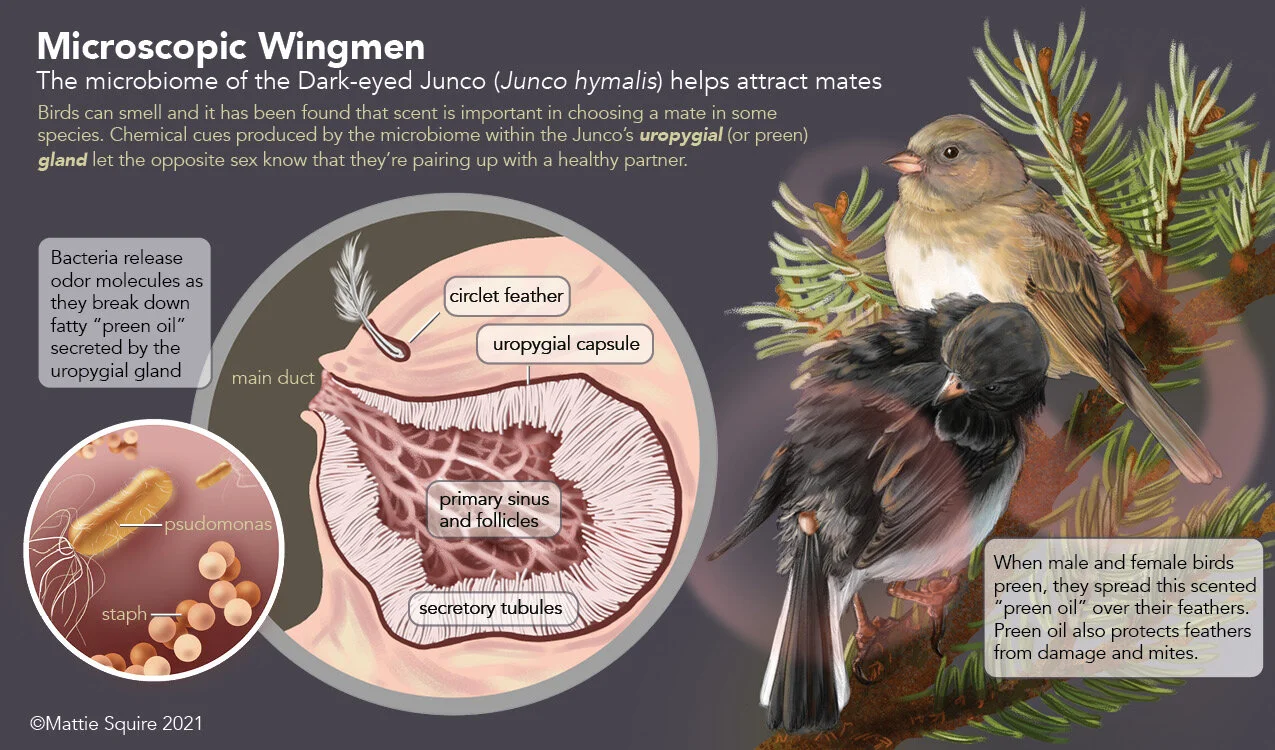 Squire_Project 1_Final.jpg