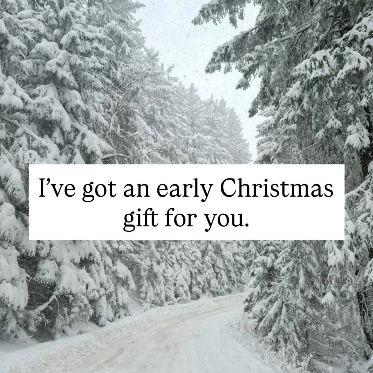 This Christmas, I am excited to offer you a FREE weekly devotion that will be sent straight to your inbox and help you keep the Christ in Christmas.
 
DM me ADVENT to get your devotions sent to you beginning on Sunday, November 30!