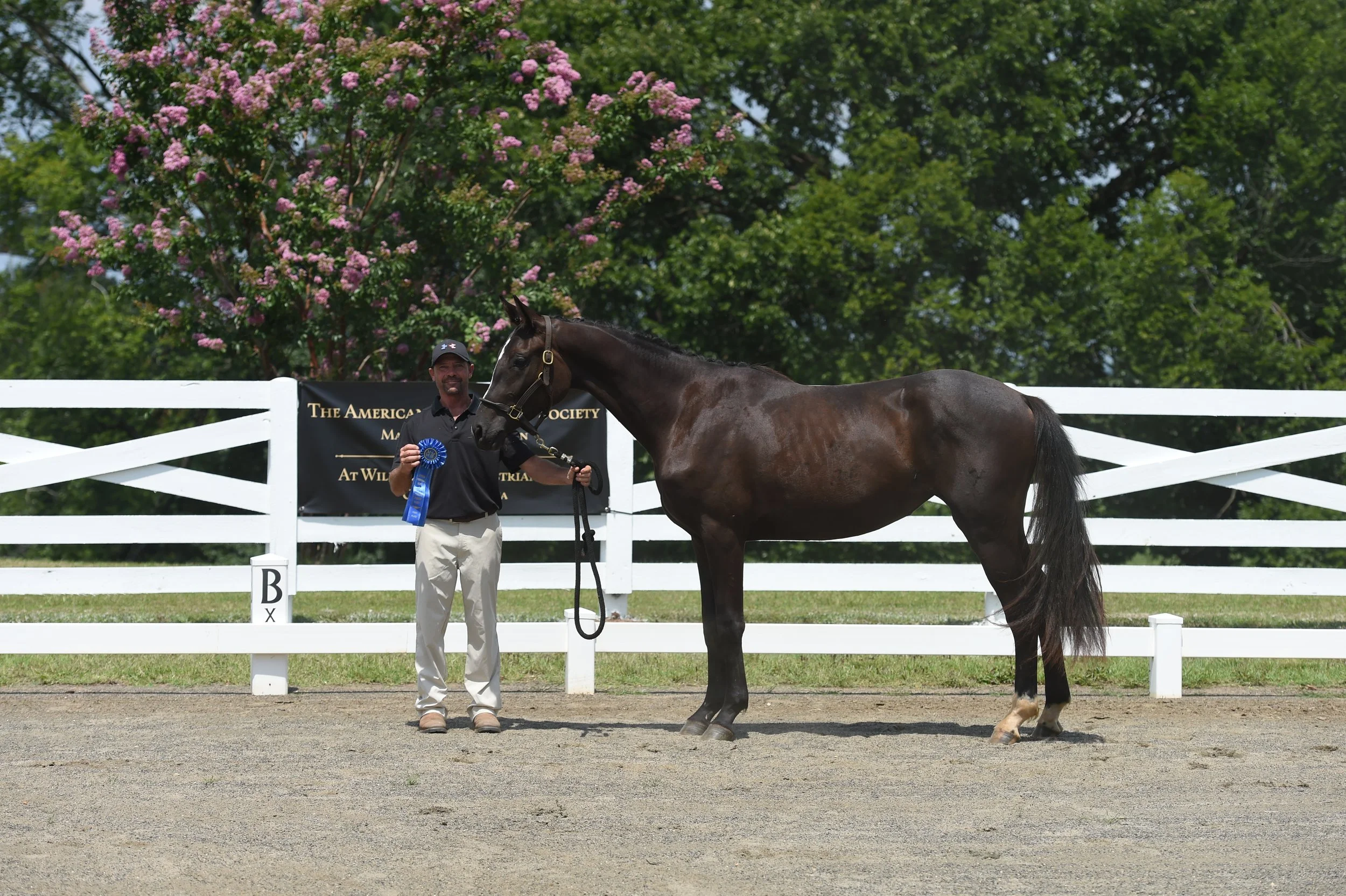 Ava Futurity Blue Ribbon.JPG
