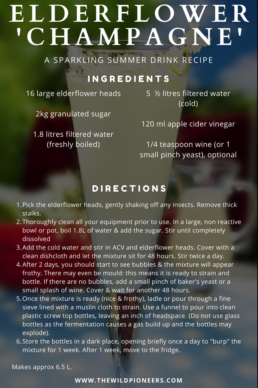 elderflower champagne recipe.png